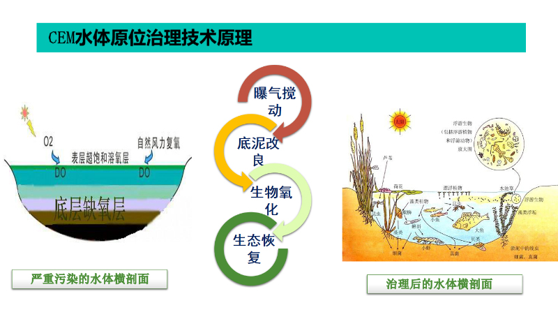 CEM水體原位治理技術(shù)-2-1.png